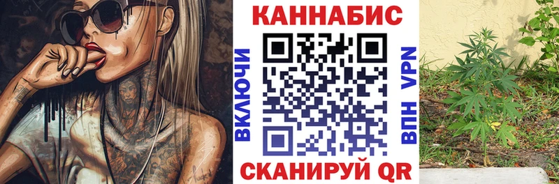 Купить закладки  Княгинино  Марихуана план 